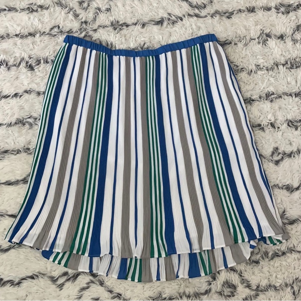 Pleated Skirt